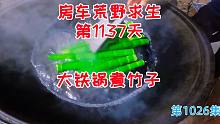 房车荒野求生第1137天大铁锅清水煮竹子，国宝吃的美食
