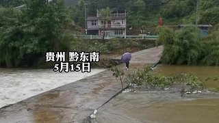 男子自费为村里修#桥，怀疑村里有人故意砍树破坏桥！