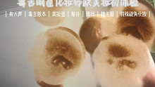 【声控助眠】场景模拟｜特殊视角化妆｜欧美妆初体验 毒舌傲娇化妆师 美妆蛋时间长人声较多～