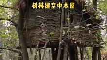树林建空中木屋。#木屋 #户外野餐 #户外露营 #户外休闲 #户外技能 