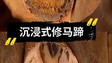 骏马沉浸式修马蹄 #小海豹钉蹄 #修蹄钉掌 #解压