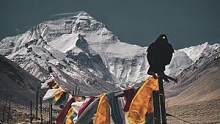 能够在珠峰翱翔的乌鸦，只有我觉得它很酷吗？#珠穆朗玛峰#摄影 #鸟类摄影 #西藏