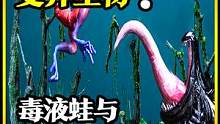 模型制作：毒液蛙和蜘蛛蛙的较量，谁才是真正的森林霸主？ #手工diy #手工 #手工制作