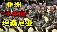 会步坦协同就能横扫非洲？聊聊中国的好徒弟坦桑尼亚的那点事！