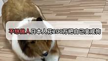 不想做人了？日本人花200万居然把自己变成了一条狗！
