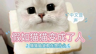 【中文音声】猫猫变成了人…太可爱了叭 做梦素材