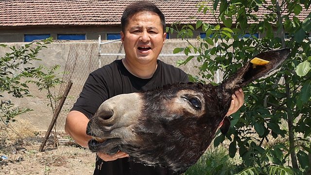 560元买个25斤的大驴头,用陈年的老汤卤驴头,地上驴肉名不虚传