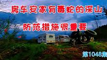 房车安家有毒蛇的深山第4年，这样的防范措施很有必要