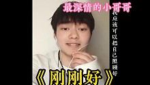 小哥哥翻唱薛之谦《刚刚好》深情王子