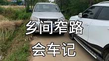 乡村窄路会车，学会这招就不怕了！