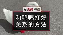 专业鸭鸭交流频道seDUCKtive，又来分享新的撸鸭小知识了。这次教大家如何准确判断撩鸭时机，获得