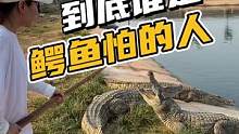 到底谁是鳄鱼怕的人？#鳄鱼养殖场 #鳄珍 