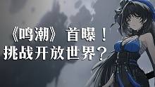 库洛新游《鸣潮》首曝 挑战二次元开放世界？
