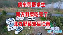 房车荒野求生第1148天，南方野菜吃完了，北方野菜空运江南
