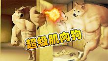 超级肌肉狗：我被柴犬狗子，一拳打飞了十米远！炯囧侠解说