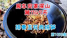 房车安家深山第1149天，大铁锅柴火灶，排骨五花肉一锅炖