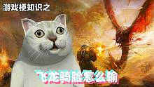 游戏梗知识：飞龙骑脸怎么输