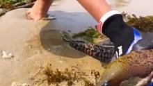#抓海鲜 #赶海 #户外 