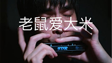 【口琴】听过这首的人都三十了吧……今天换一种处理音色的方法 《老鼠爱大米》GM0648