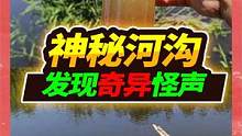 再探村后神秘臭河沟，为粉丝准备鱼苗开口活饵，偶然收货此等活物 #宠物 #野采 #神秘河沟