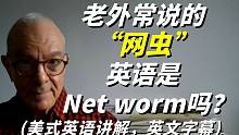 在美剧中，老外常说“网虫”英语是“Net worm”吗？