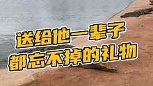 这个礼物一定让人忘不掉吧！#鳄鱼养殖场 #鳄珍 