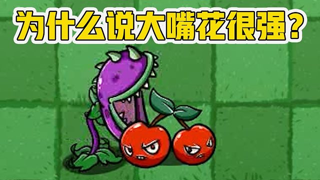 植物大战僵尸：为什么说大嘴花很强？以为他能生吃樱桃炸弹！