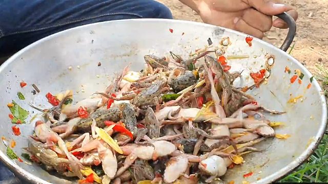 越南纪录片：野外煮清蛙，先凉拌再油炸！一口一只太过瘾了，小哥们直呼好吃美味！
