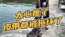 你的皮带在地上摩擦摩擦…好心疼！#鳄珍 #鳄鱼养殖场 