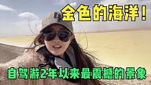 妹子单台车挑战沙漠无人区，活几十年头次见这样的景象，震撼！