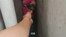 为了一只鸟差点卡墙缝里……