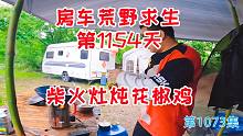 巴掌大的柴火灶炖个花椒鸡，房车荒野安家第1154天真实生活