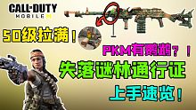质量在线！全新通行证上手测评！PKM枪身上还有鹦鹉？？？【使命召唤手游】