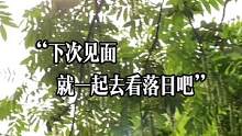 想见的人已经不是你了#声控#落日晚风的尽头