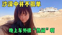 沙漠戈壁房车露营，姑娘晚上被野生动物包围，看来这里不安全！