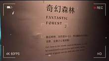 奇幻森林之旅
