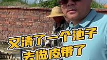 我们又清了一个池子，去做皮带了！#鳄珍 #鳄鱼养殖场 