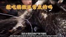 #荒野求生 盘点明星被#贝爷逼疯名场面，哪一个有笑到你？#冒险 