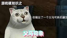 游戏梗知识：父马可亲