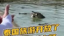 真的不要去了，太危险了！#鳄鱼养殖场 #鳄珍 