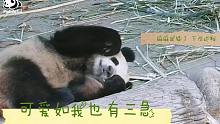 横板熊猫有三急