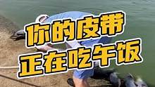 你的皮带正在吃午饭哦！#鳄鱼养殖场 #鳄珍 