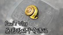 《负责到底》#vlog我的日常  #西雅图 