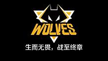 狼队晋级之路