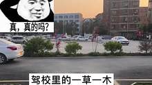 驾校里的一草一木都有存在的理由#车知识分享计划 #汽车人共创计划 #每天一个用车知识 #dou来拍车