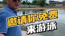 想游泳的来吧，2400平米，免费游！#鳄珍 #鳄鱼养殖场 