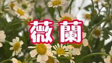 做脸，做美甲，做美睫啦、#让我们一起变美 #深层毛孔清洁 #我的探店日记 #美好就在不远处