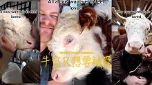 牛宝只想要被爱