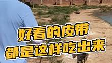 好看的皮带这样吃出来的都是！#鳄珍 #鳄鱼养殖场 
