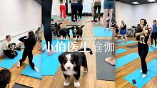 小伯医生瑜伽